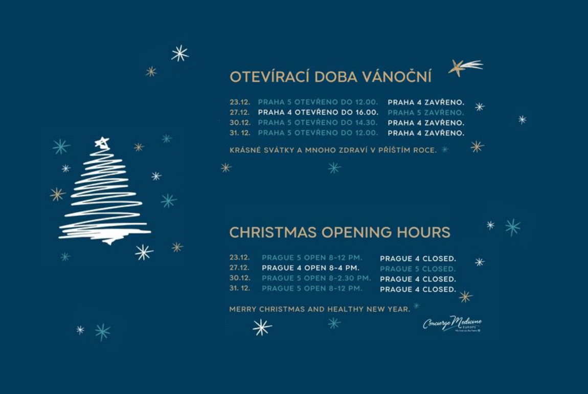 Christmas Opening Hours